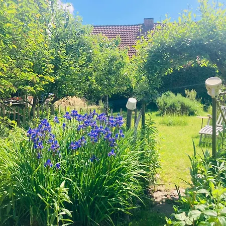 Am Wasser Im Gruenen *